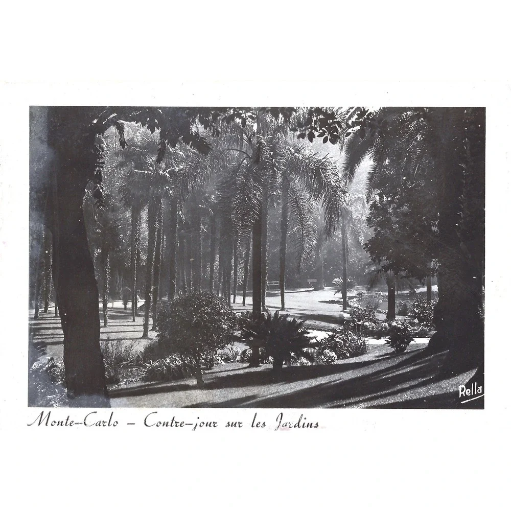 Vintage Monte Carlo Monaco Gardens RPPC Postcard Editions RELLA 2874 French View